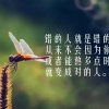 刘欢欢的一亩田店铺