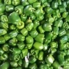 张端政绿色无公害蔬菜的一亩田店铺