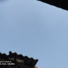 底彦松清真牛羊副产品的一亩田店铺