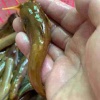 武记水产的一亩田店铺