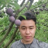 平昌县桃李天下农业专业合作社的一亩田店铺