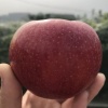 宋艳君的一亩田店铺