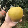 林飞的一亩田店铺