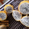 绿森林生态农业的一亩田店铺
