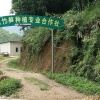 乡下一家竹笋种植专业合作社的一亩田店铺