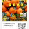 平南县今天农业发展有限公司的一亩田店铺