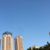 张志豪的一亩田店铺