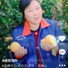 湘西苗子农业的一亩田店铺