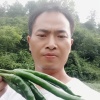 郑荣飞的一亩田店铺