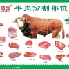 源博（济南）国际贸易有限公司的一亩田店铺