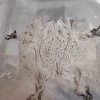 段志敏的一亩田店铺