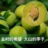 坤福超的一亩田店铺