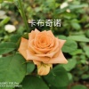 陈仟的一亩田店铺