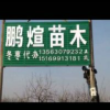 王炎的一亩田店铺