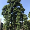 潘正兴的一亩田店铺