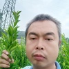舒孝军苗场的一亩田店铺