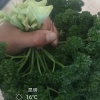 李超辉的一亩田店铺