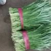 李化收的一亩田店铺