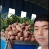 童长锋的一亩田店铺