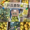 宝丰县广沐科技有限公司的一亩田店铺