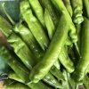 刘硕蔬菜水果代收菜行的一亩田店铺