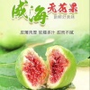 李梦杰的一亩田店铺