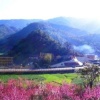 李永恒的一亩田店铺