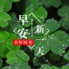 黄木洒的一亩田店铺
