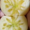 临猗县绿之光果品合作社的一亩田店铺