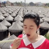 杨洪娟的一亩田店铺