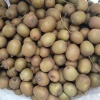 菌果种植销售专业合作社的一亩田店铺