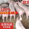 天之宇农产品贸易有限公司的一亩田店铺
