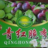 脆李种植专业户的一亩田店铺