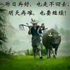 宏欣蔬果的一亩田店铺