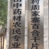 周君杰的一亩田店铺