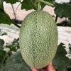 寿县惠农瓜果种植专业合作社的一亩田店铺