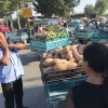 刘海坡的一亩田店铺