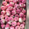王瑞丽的一亩田店铺