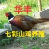 华金生的一亩田店铺
