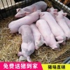 潘维维的一亩田店铺