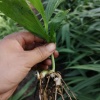 滋水生物科技有限公司的一亩田店铺