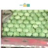 李婷的一亩田店铺