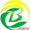 曹海涛的一亩田店铺