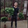 陈磊苗木场的一亩田店铺