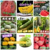 永康精品果蔬实力代办的一亩田店铺