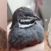 黎常青的一亩田店铺