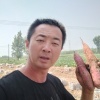 瓦房沙地蜜薯的一亩田店铺