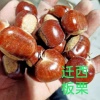 栗鹏板栗合作社的一亩田店铺