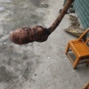 黄涛的一亩田店铺