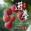 洪飞果苗场的一亩田店铺